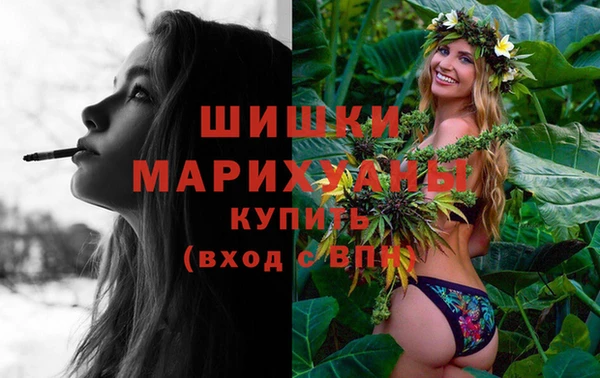 гидра Абаза
