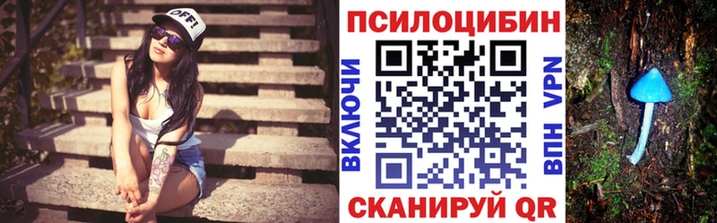 omg ссылки  Лесозаводск  Галлюциногенные грибы мицелий 