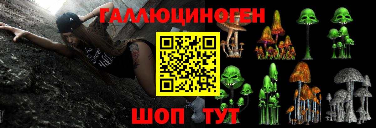 Галлюциногенные грибы Psilocybine cubensis Лесозаводск